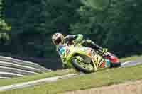 brands-hatch-photographs;brands-no-limits-trackday;cadwell-trackday-photographs;enduro-digital-images;event-digital-images;eventdigitalimages;no-limits-trackdays;peter-wileman-photography;racing-digital-images;trackday-digital-images;trackday-photos